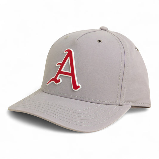 Arkansas Razorbacks Baseball Script A 2025 College World Series 3D Snapback Canvas Hat- Grey