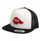 Arkansas Razorbacks Retro HOGS Red 3D YP Snapback Flat Bill Trucker Hat- White/ Black