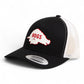 Arkansas Razorbacks Retro HOGS White 3D YP Snapback Trucker Hat- Black/ White