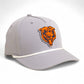 Chicago Bears 3D Five Panel Classic Rope Hat- Grey/ White