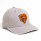Chicago Bears 3D Snapback Canvas Hat- Grey