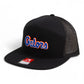 Florida Gators Script Blue 3D Snapback Seven-Panel Flat Bill Trucker Hat- Black