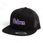 Florida Gators Script Blue 3D YP Snapback Flat Bill Trucker Hat- Black