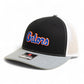 Florida Gators Script Blue 3D Snapback Trucker Hat- Black/ White/ Heather Grey