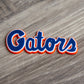 Florida Gators Script Blue 3D YP Snapback Trucker Hat- White/ Black