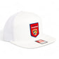 Florida Panthers Stanley Cup Champions 3D Snapback Seven-Panel Flat Bill Trucker Hat- White