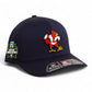 Louisville Cardinals Retro 2025 College World Series 3D Laser Perf R-Flex Cap- Navy